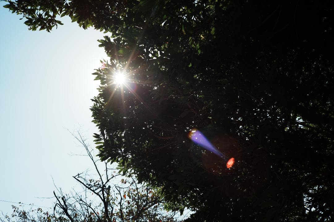 ライカ M-ROKKOR 40mm F2｜街と家族をやわらかく描く一本 015