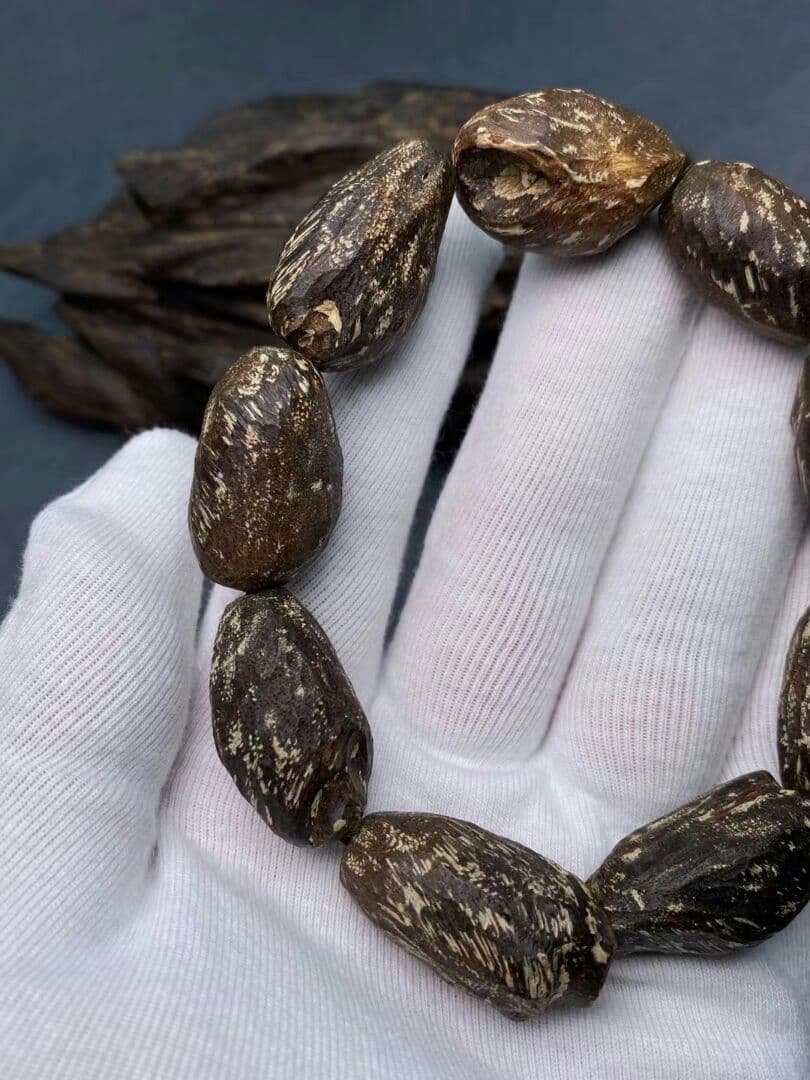 ダラガン天然野生むし虫ろー漏沉香 ゆし油脂がほーふ豊富である いいにおい匂いだ