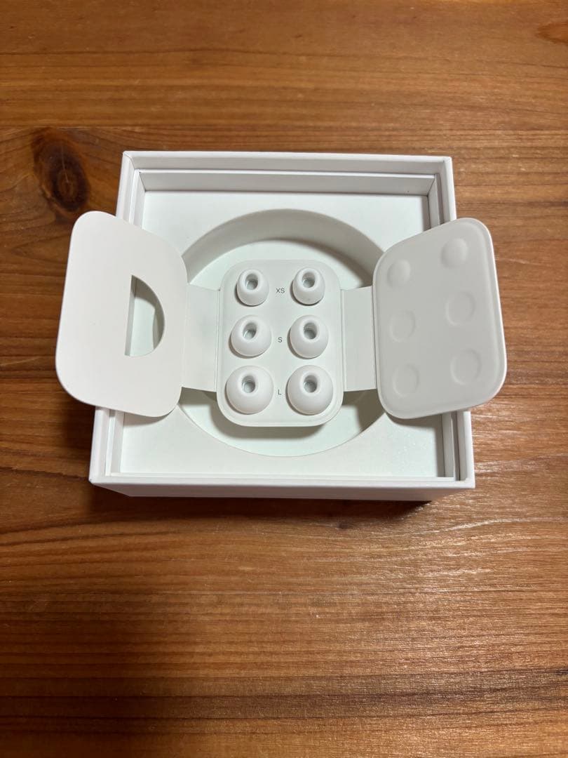 Apple AirPods Pro 2（Type-C）