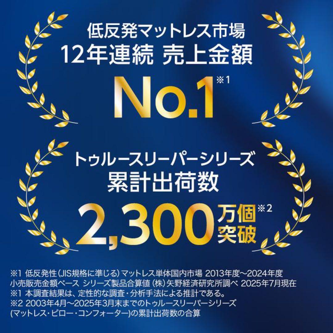 【新品未開封】 True Sleeper 低反発