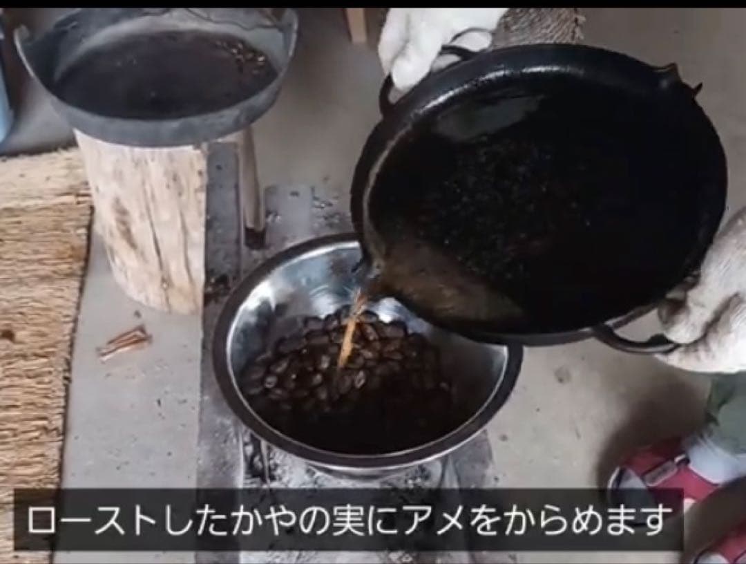 樹齢600年 榧の実（かやの実） 2025年産 1kg アク抜き済み