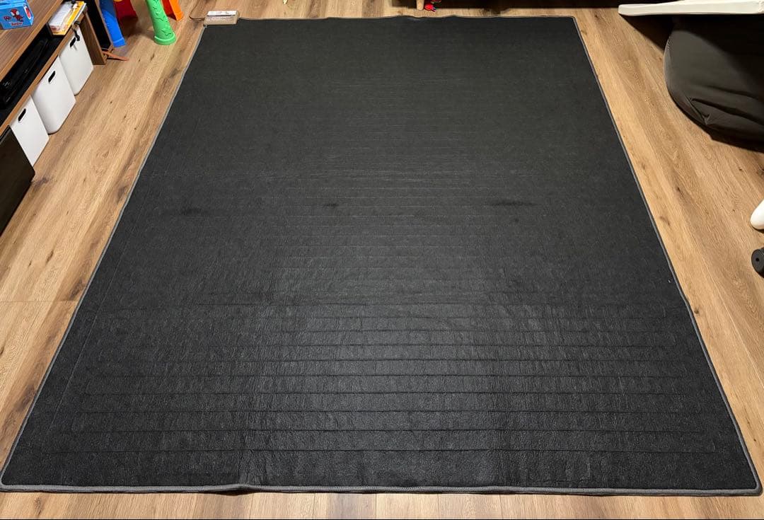 Panasonic 電気カーペット DC-3NKM 710W 2023年製