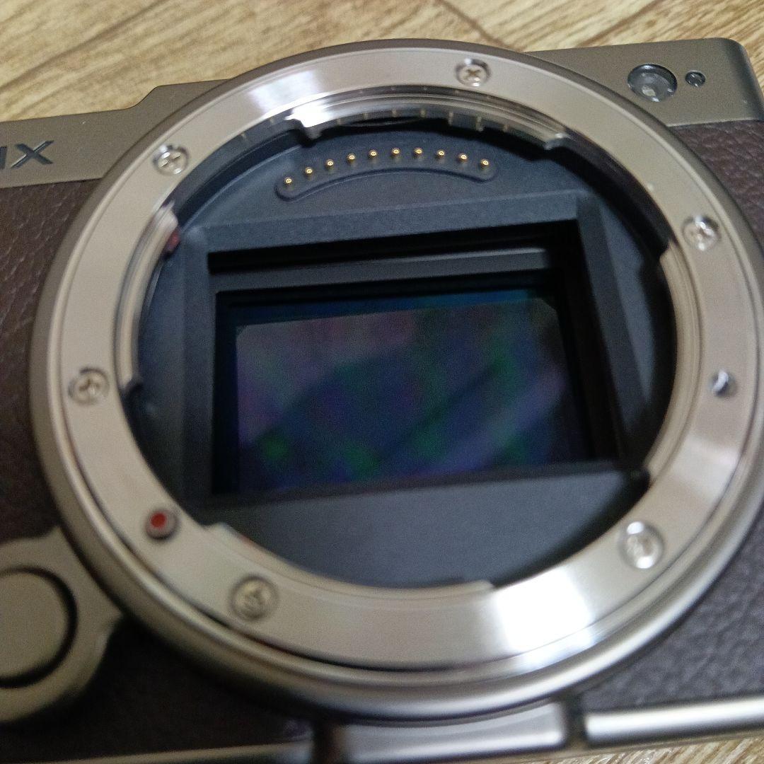 LUMIX S9 ミラーレスカメラ ゴールド