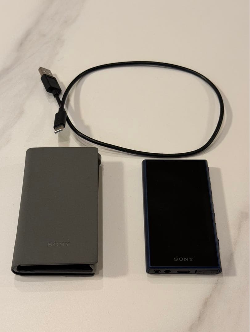 NW-A306 microSDXC512GB/ケース付 SONY WALKMAN