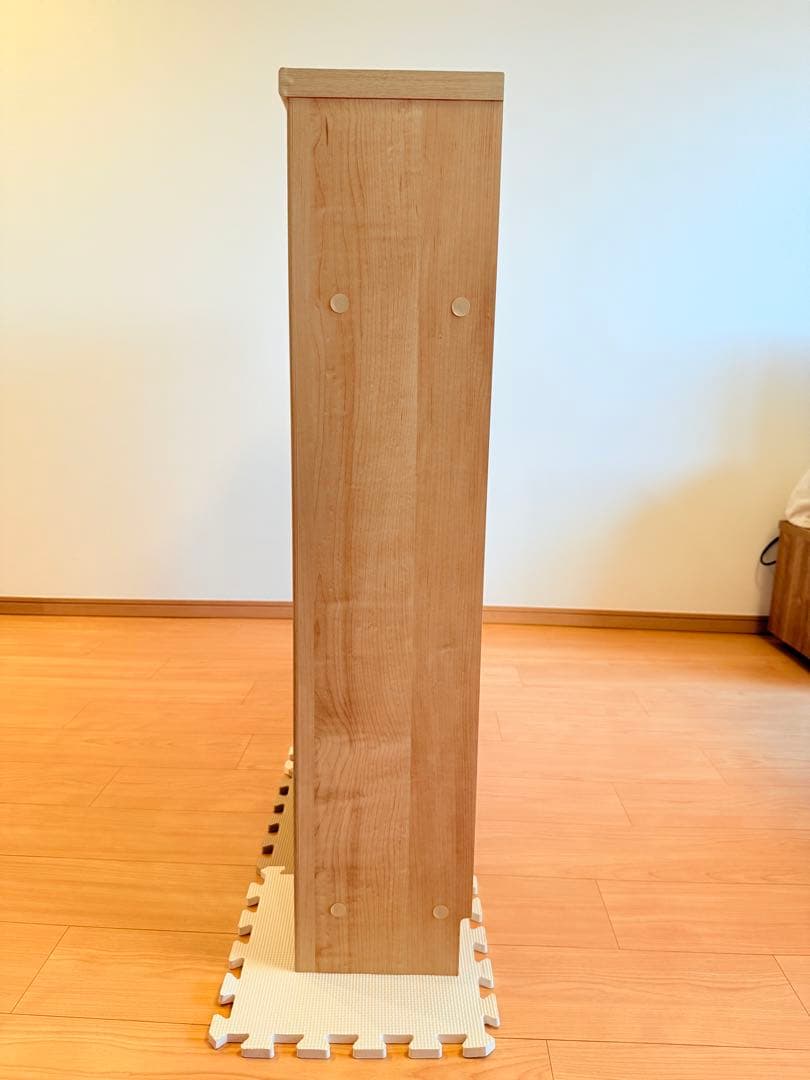 狭いカウンター下にも収納できるキャビネット 2扉付き