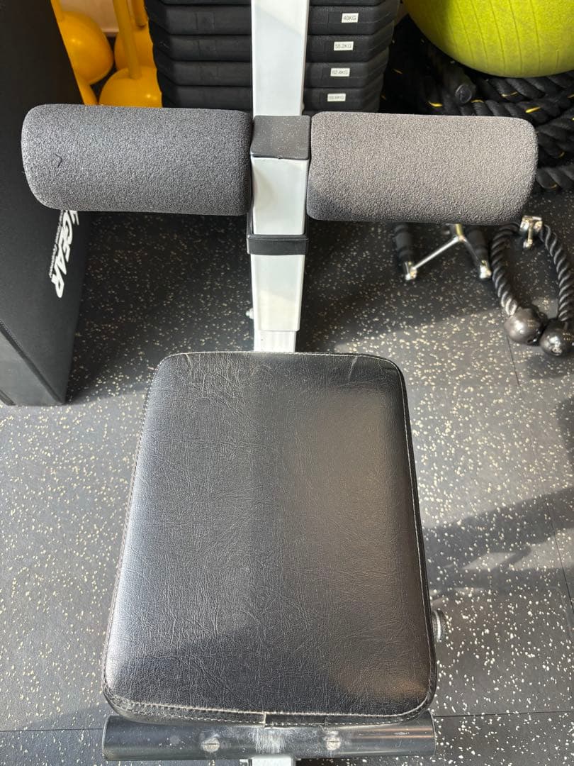 【松本和寛様:専用】ラットプルダウンマシン ウエイトマシン フィットネス器具