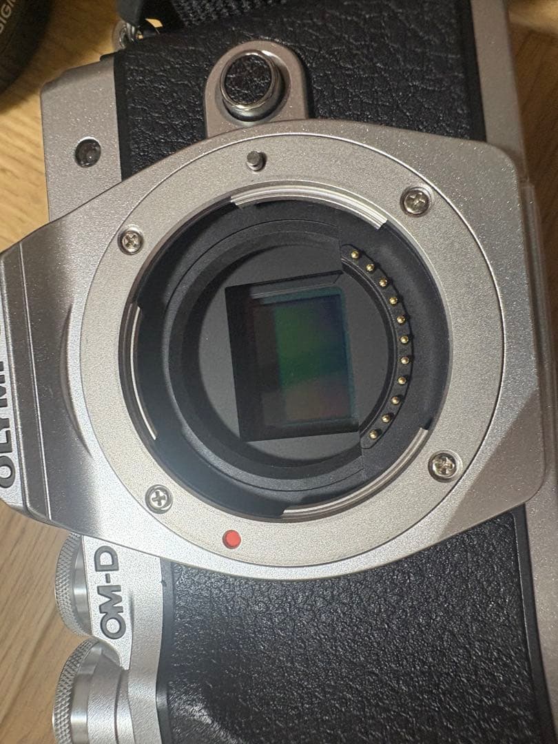 は*か様 簡易清掃済み オリンパスOM-D E-M10 MarkⅢ 単焦点レンズ