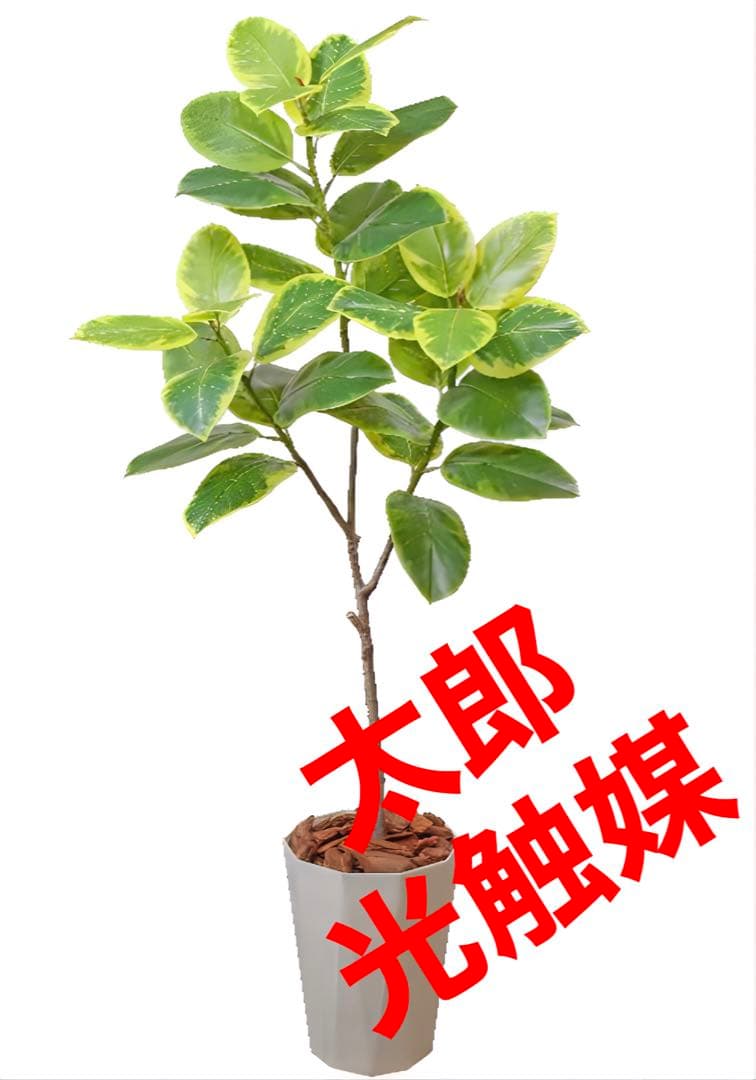 光触媒　人工観葉植物　ウォールグリーン　フェイクグリーン　アルテシマ170170