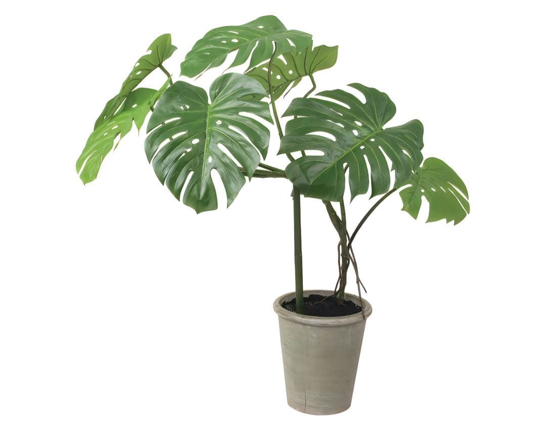 光触媒　人工観葉植物　ウォールグリーン　フェイクグリーン　モンステラ110