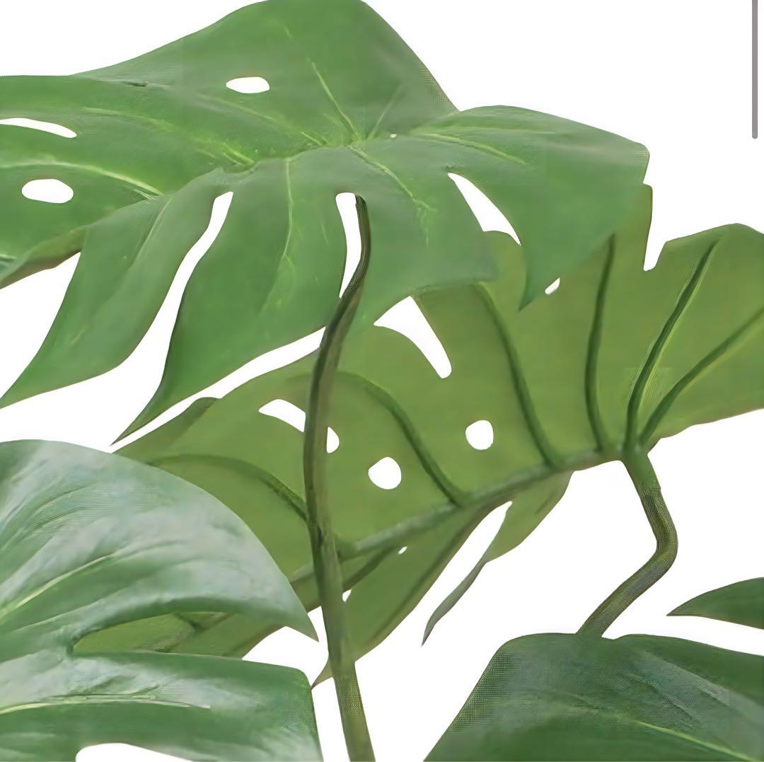 光触媒　人工観葉植物　ウォールグリーン　フェイクグリーン　モンステラ110