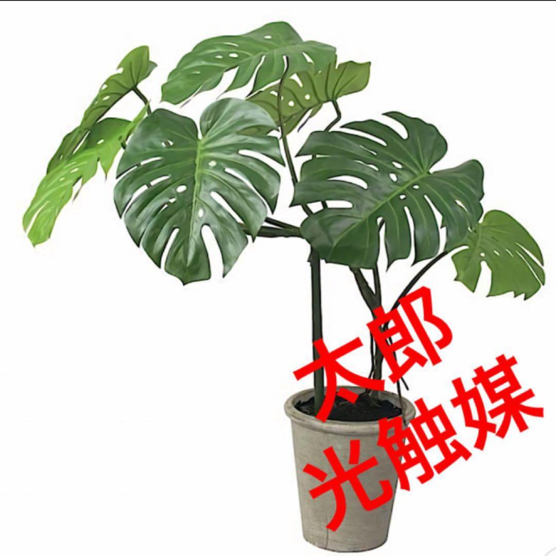 光触媒　人工観葉植物　ウォールグリーン　フェイクグリーン　モンステラ110