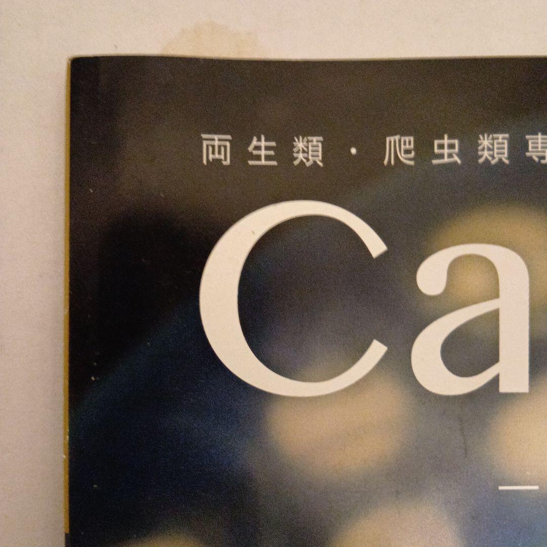 Caudata 創刊号