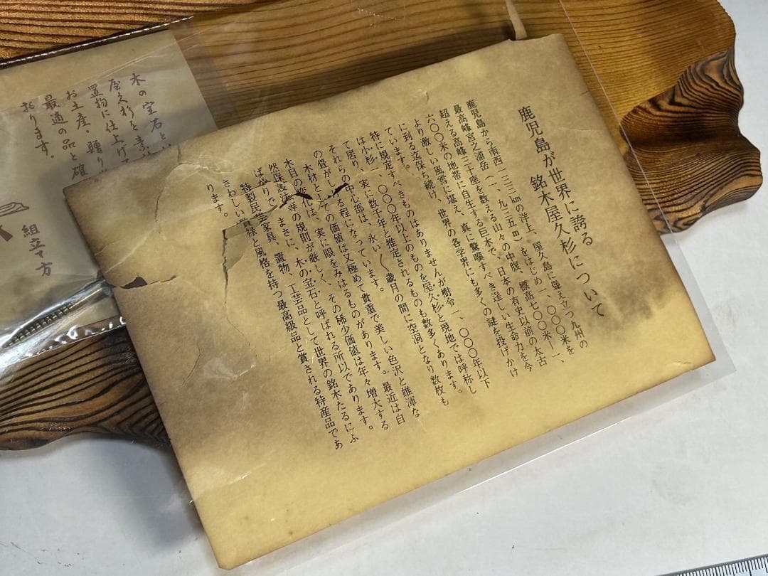 屋久杉　飛龍　置物　４２㎝　龍　木彫　木彫り