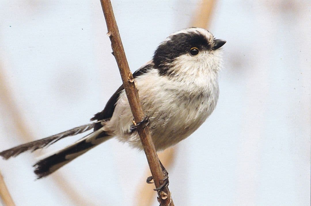 専用…かずちゃんさま