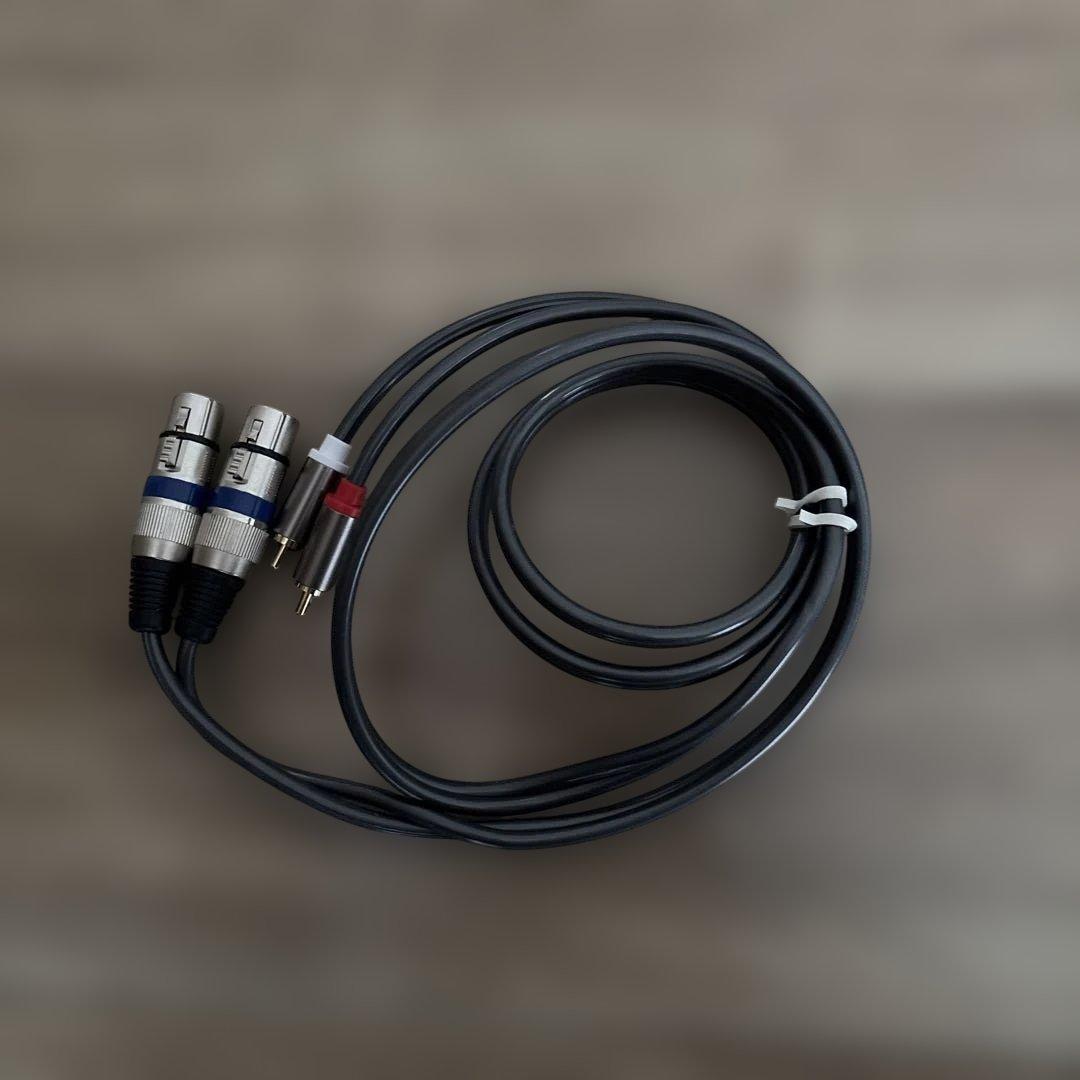 美品PioneerDJ XDJ-RR本体とXLRケーブル