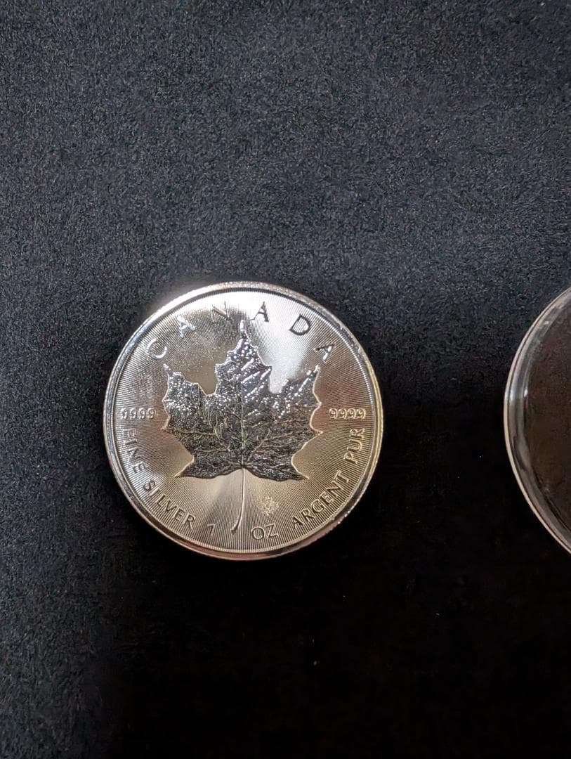 カナダ・メープルリーフ銀貨 1オンス 5ドル 2021年【5枚】