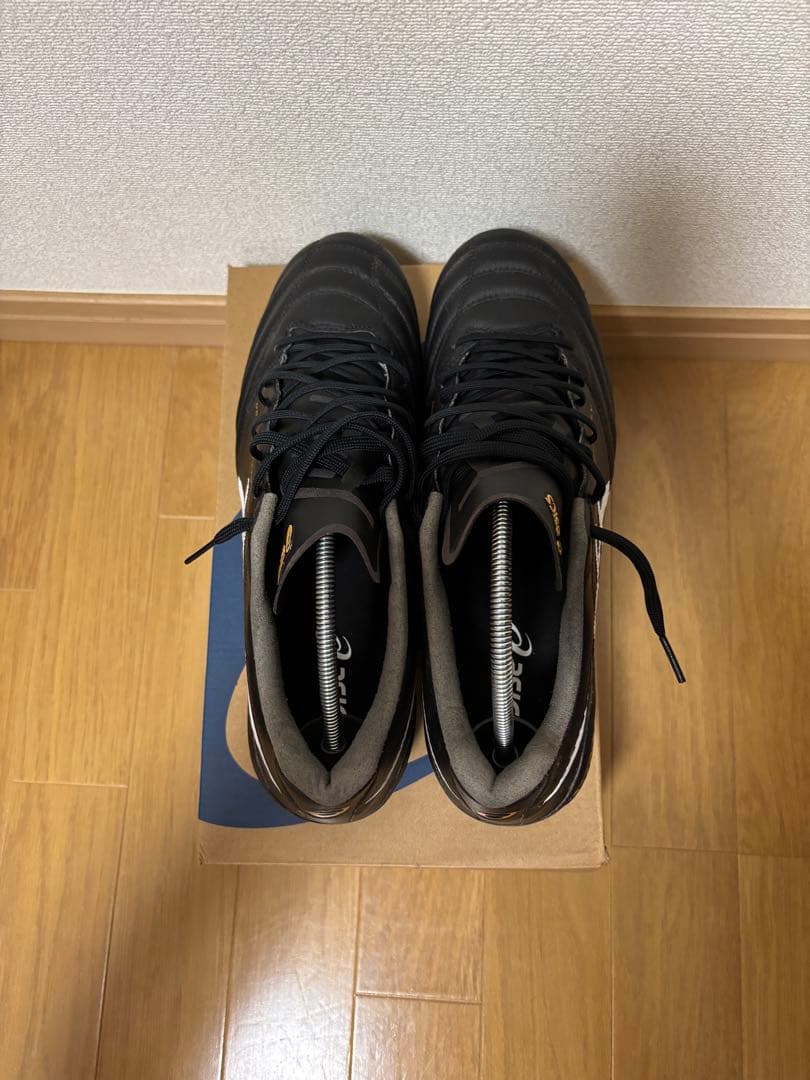 【本日まで大幅値下げ】asics DS LIGHT X-FLY 5 27.5cm