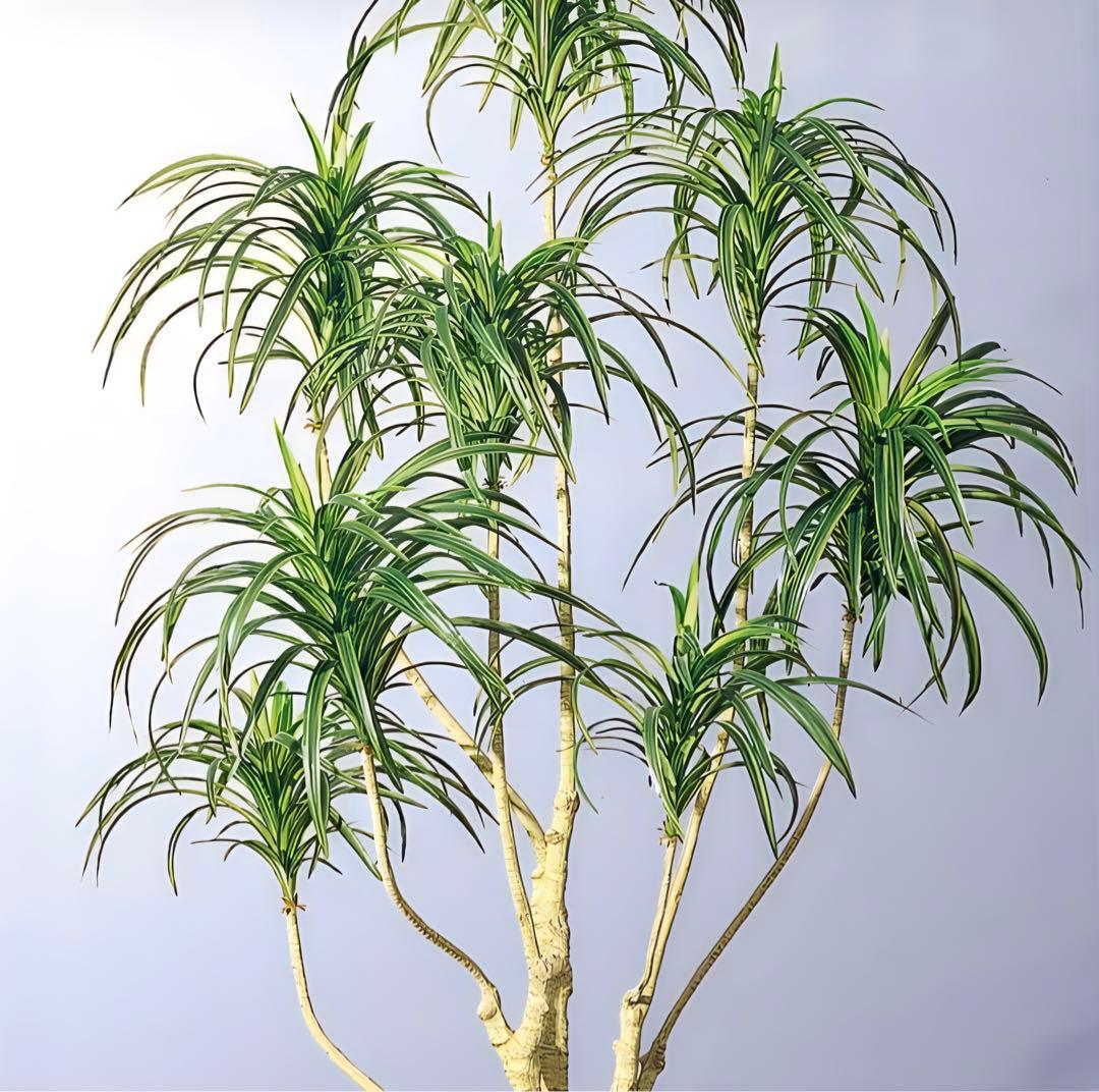 光触媒　人工観葉植物　ウォールグリーン　フェイクグリーン　ユッカツリー1700