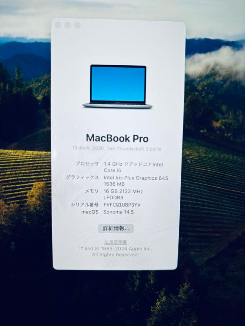 MacBook本体 MacBook Pro 13inch