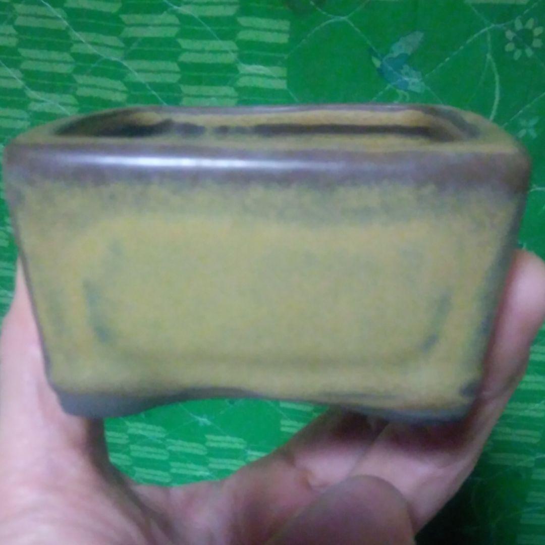 ミニ鉢、盆栽鉢、盆栽小鉢、鉢、植木鉢、山野草鉢、盆栽