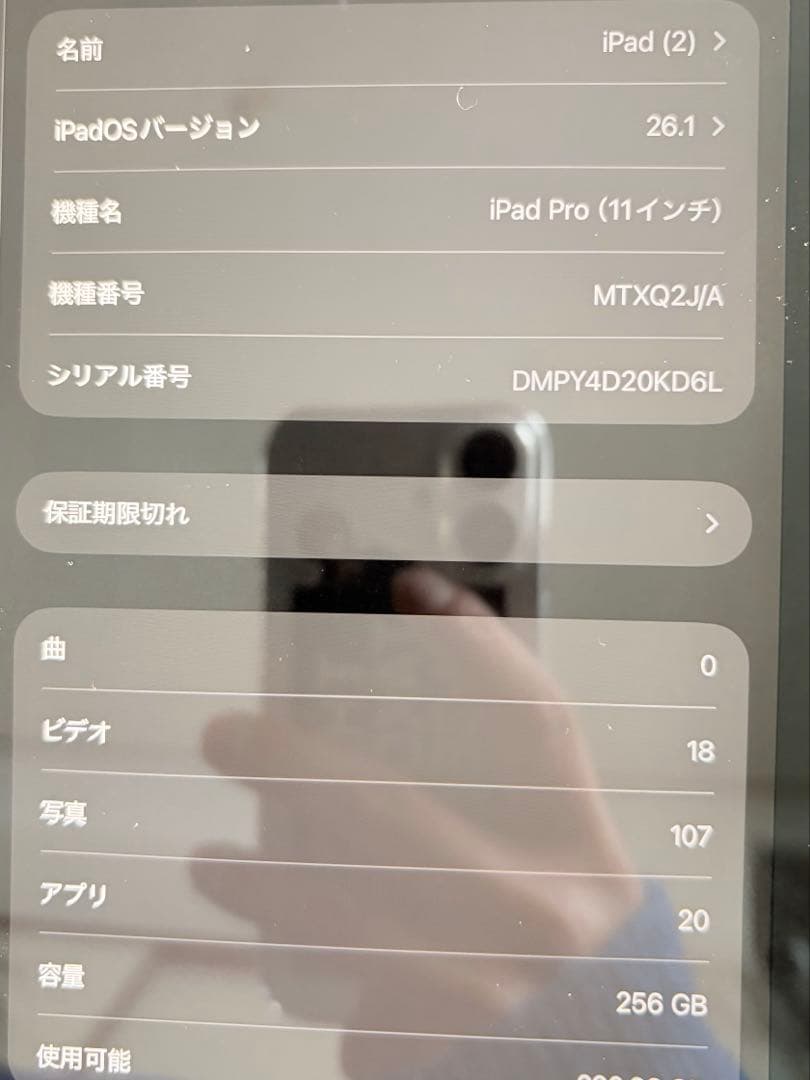 美品　iPad Pro11インチ　256GB