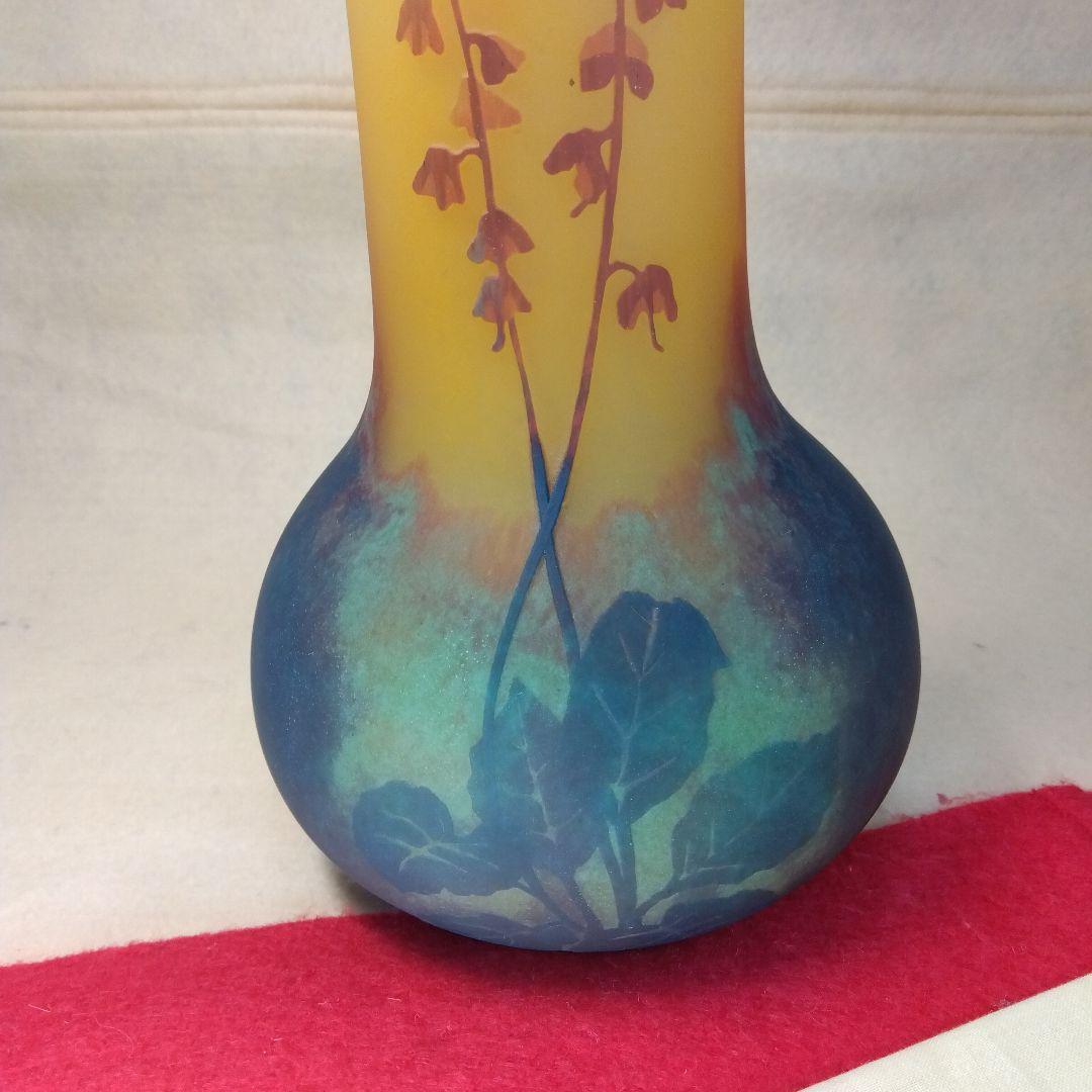 DaumNancy 　洋蘭彩