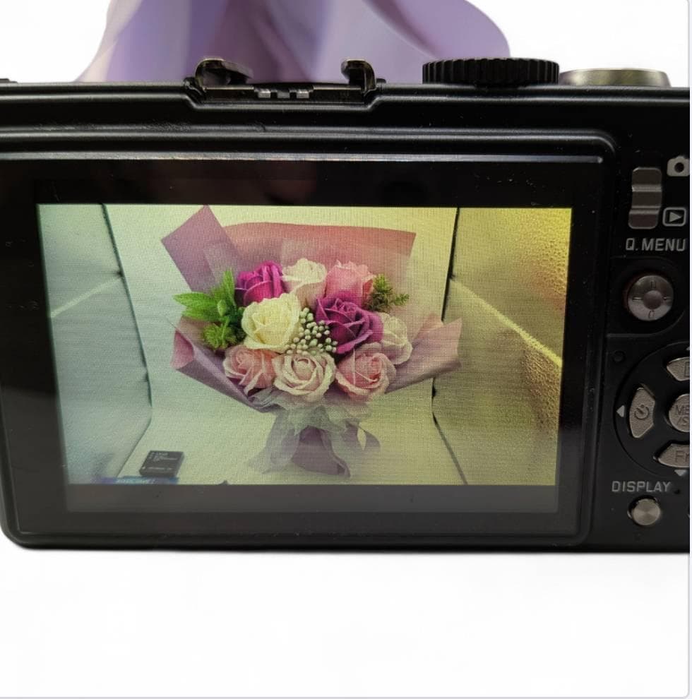 LEICA ライカ D-LUX4 コンパクトデジタルカメラ ブラック