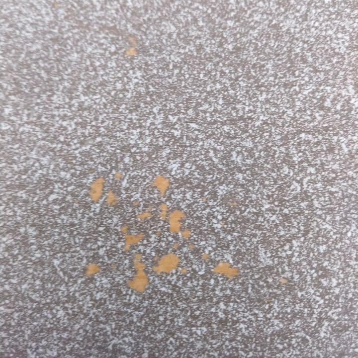 イギリスアンティーク4点セット⭐︎トレイ⭐︎ケース⭐︎アップル型トレイ⭐︎ブラシ