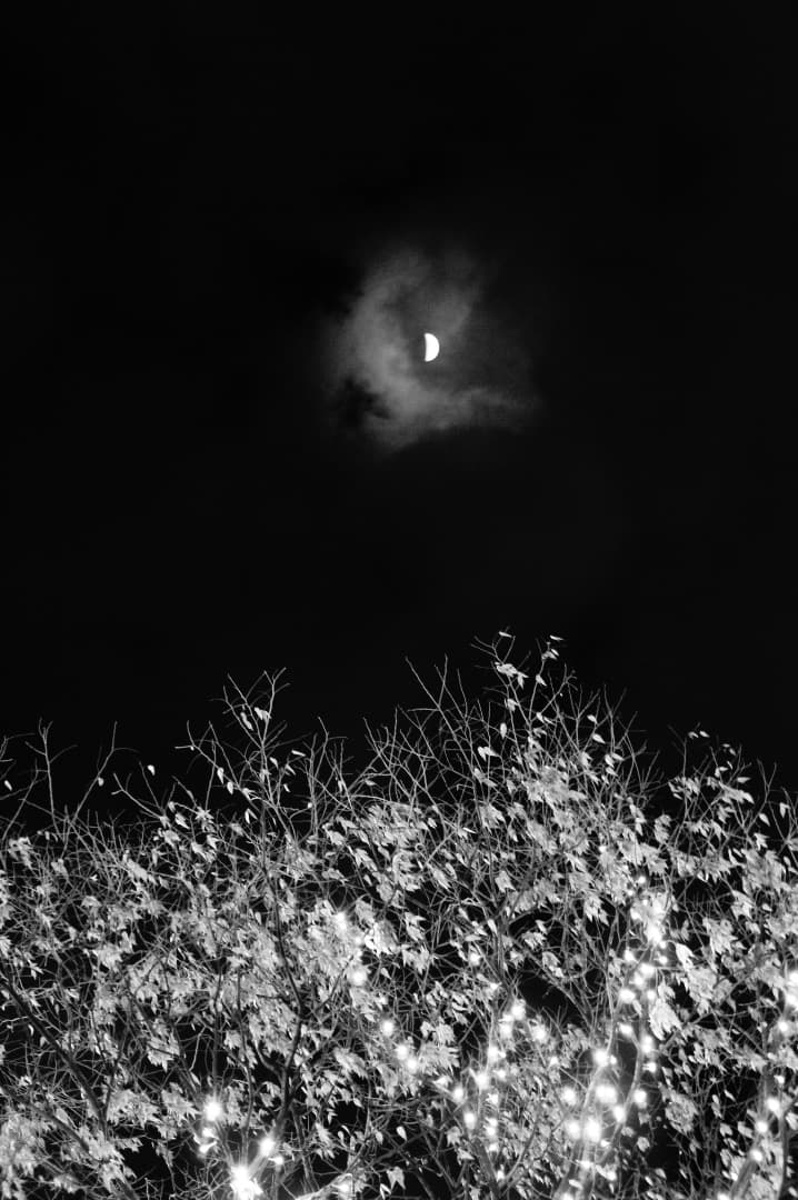 【超美品】SONY NEX-3 ズームレンズ MFレンズキット ブラック