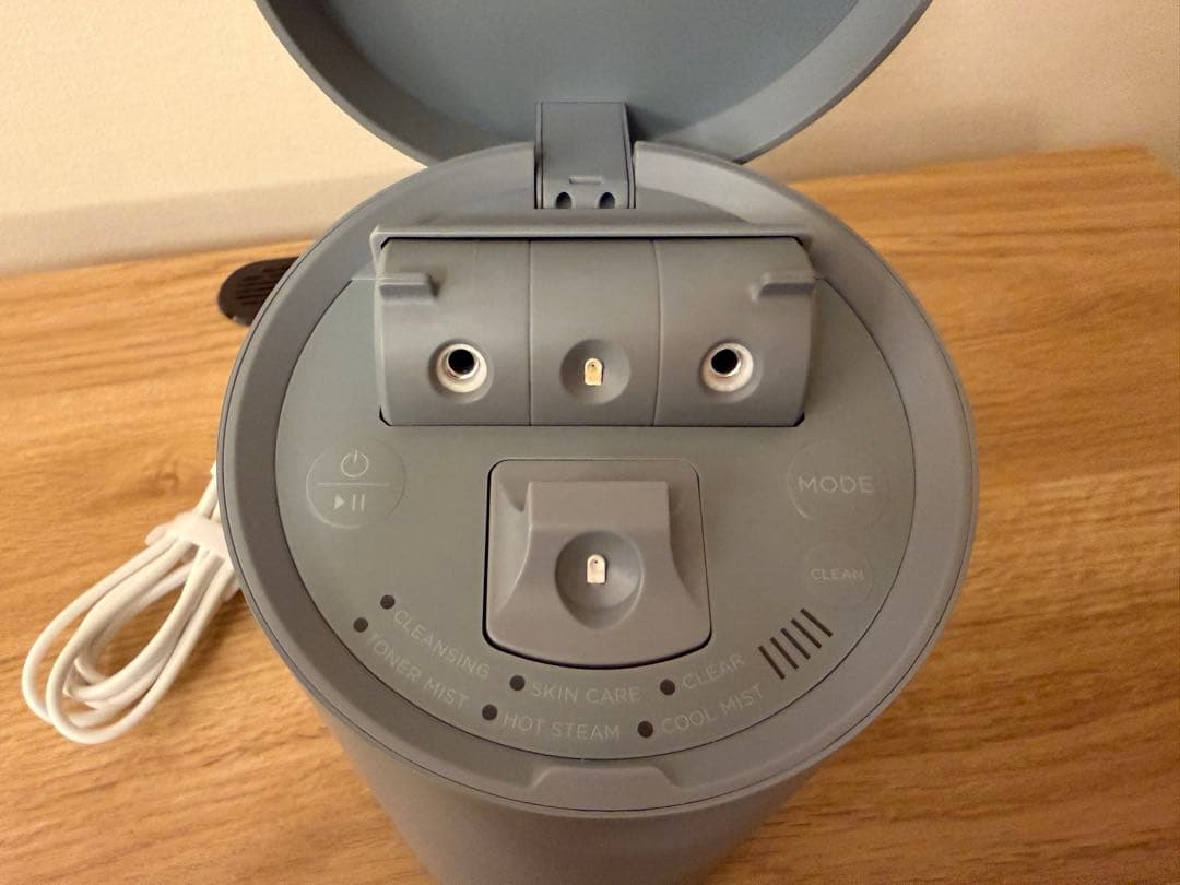 SALONIA サロニア ピュアブライト スチーマー