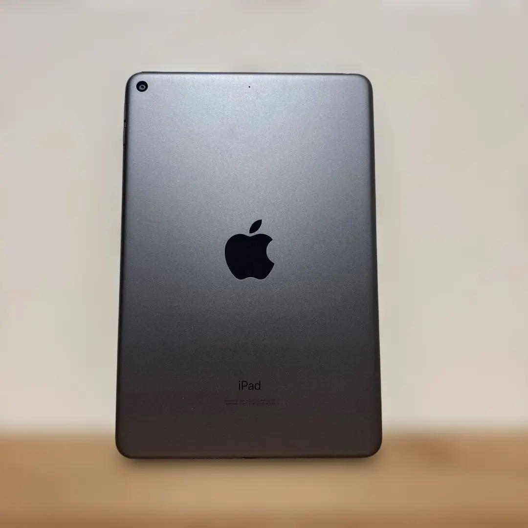 apple iPad mini (第5世代) 256GB WiFi版　グレー