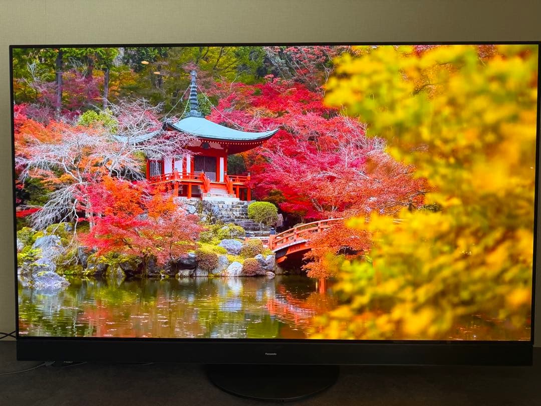 Panasonic 有機ELテレビ TH-65LZ2000（65インチ）