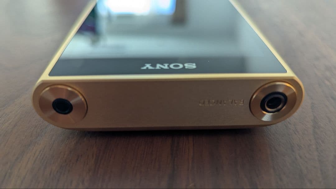 【極美品】SONY NW-WM1ZM2 ＋ 純正ケース付 ソニスト購入 室内使用