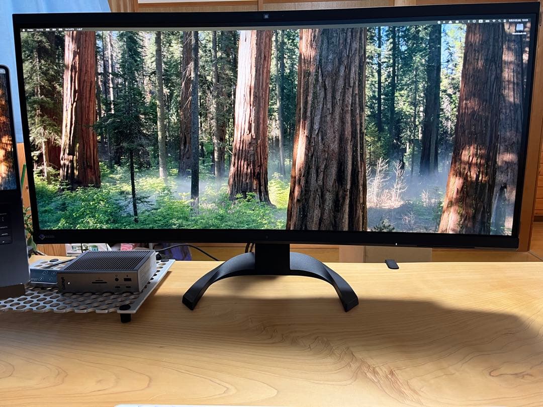 EIZO ウルトラワイドモニター 本体