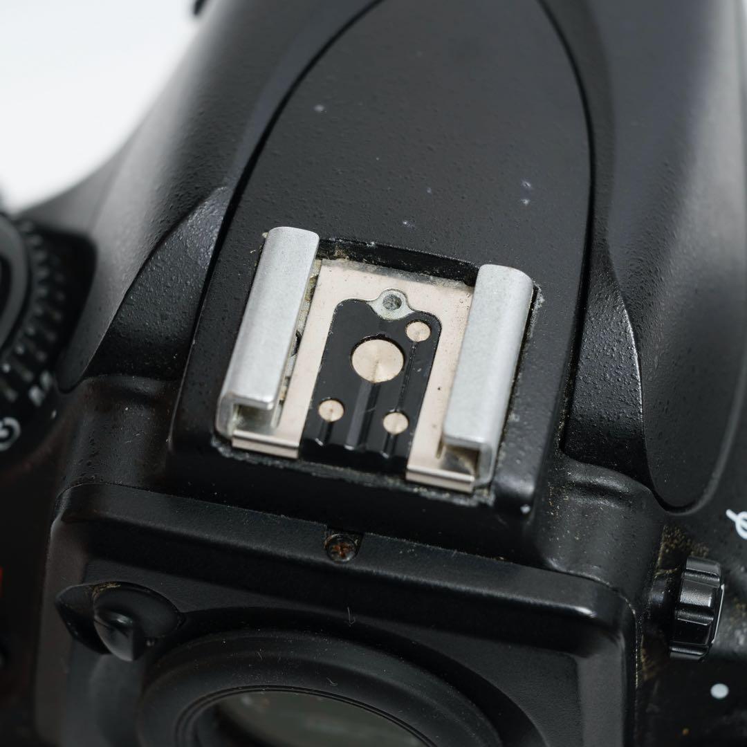 Nikon D800 一眼レフカメラ 本体