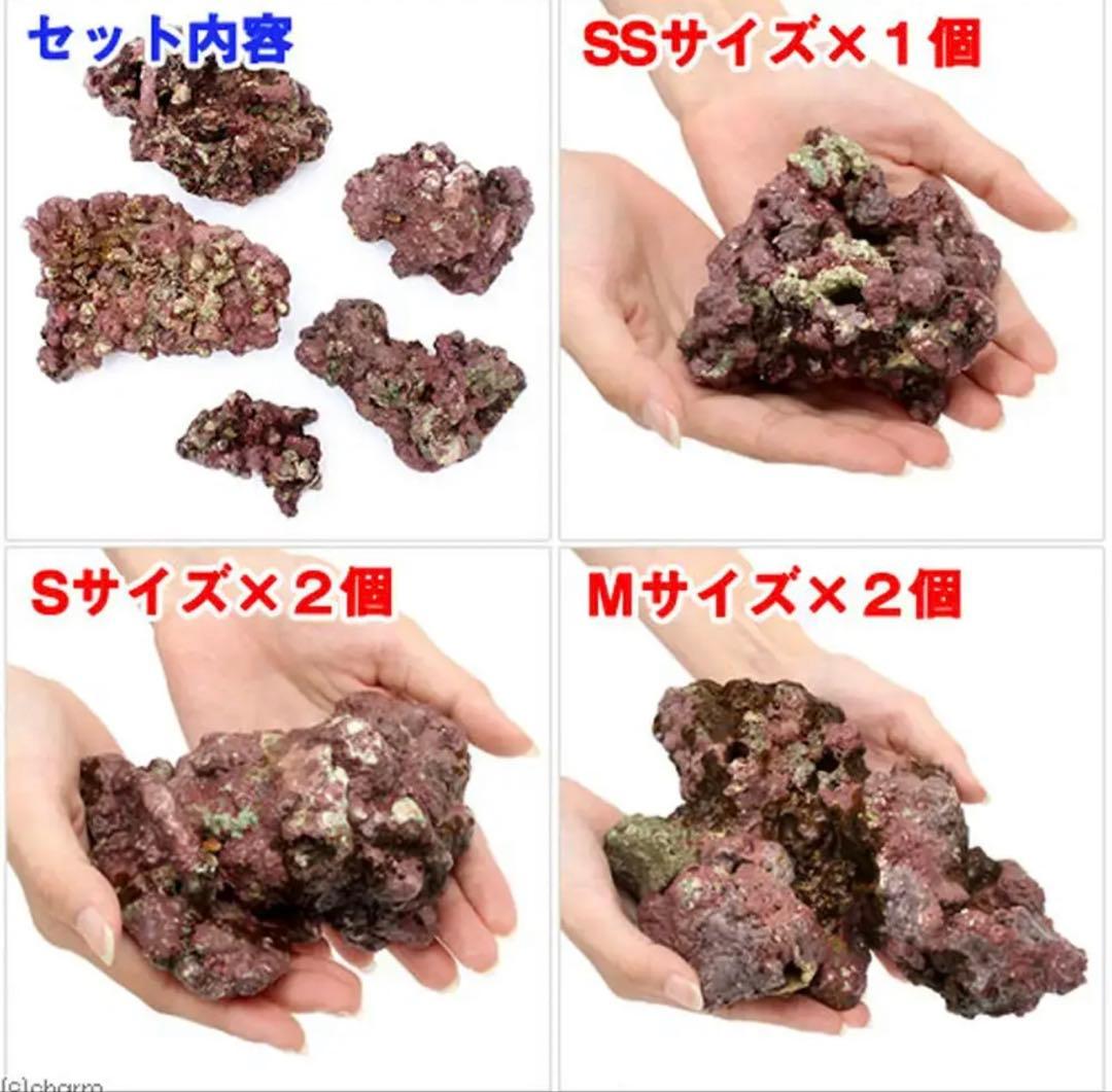 ライブロック EXSグレード レッドロック 30cm水槽用形状はコメントで要相談
