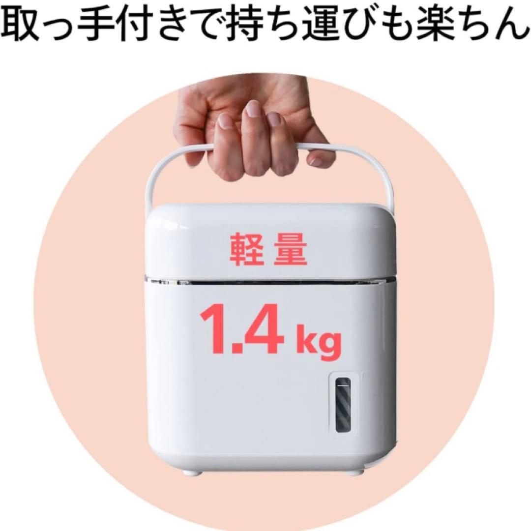 ツインバード フェイススチーマー 美顔器 イオン化スチーム イオン コンパクト