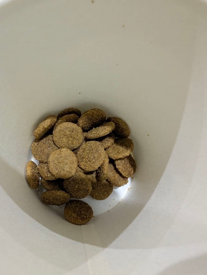 ファーストチョイス　成犬用チキン18キロ