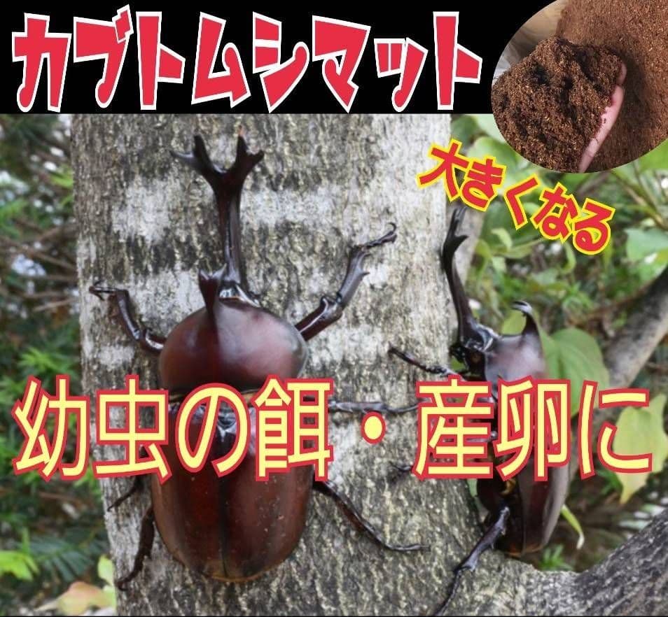 高品質！カブトムシ幼虫の餌　大きくなる！発酵マット【6袋】雑虫が湧きません！