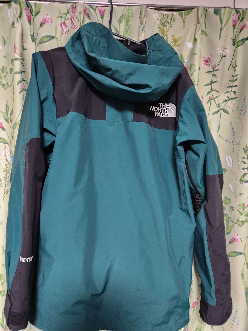 最終価格　THE NORTH FACE　NP61800 グリーン