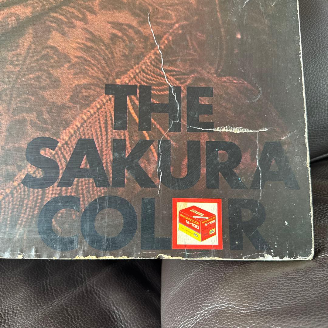 ＆】 昭和レトロ 宣伝 女性ヌードポスター セクシー 写真 非売品