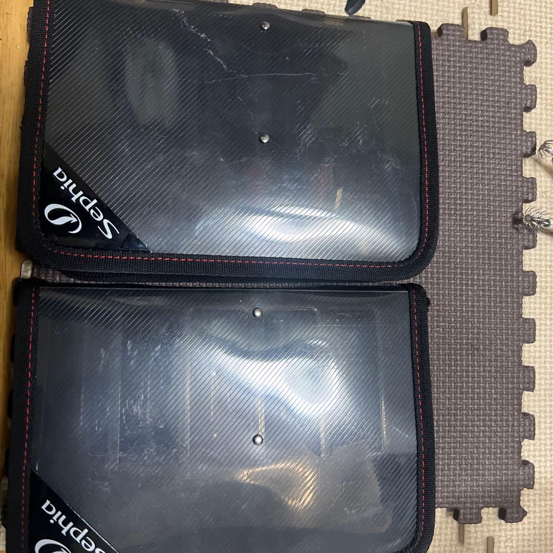 エギ2.5 20個セット ケース2個付き