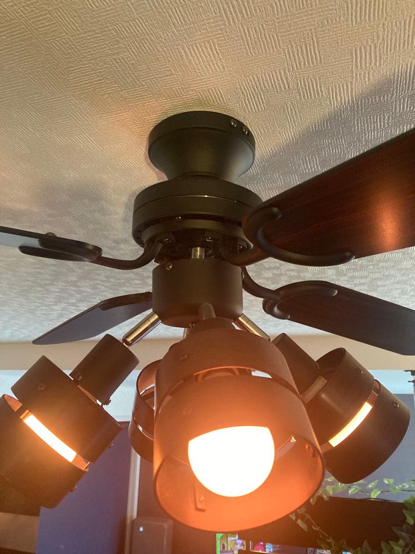 リコメン堂 シーリングファンライト E26 4灯 ブラウン