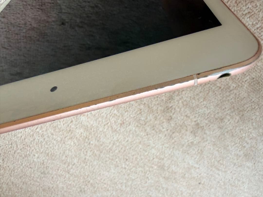 iPad本体 Apple iPadmini5 256GB wifi+cellular