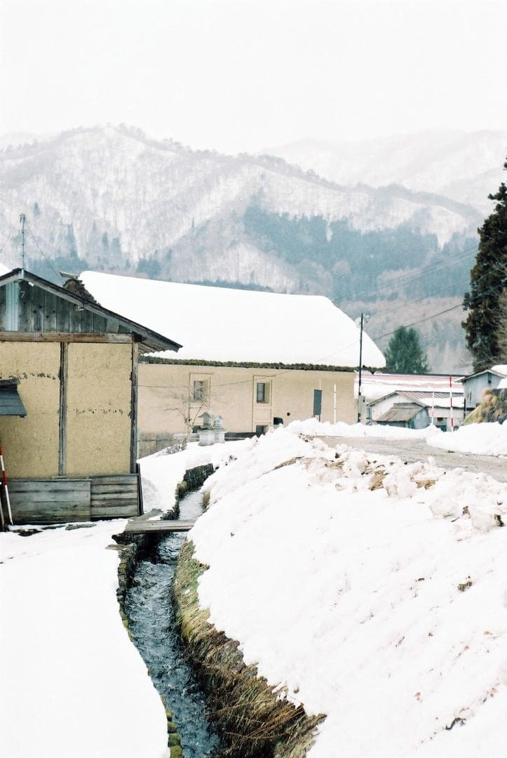 キャノンⅡF〈E・P〉／キャノン50mmf2.8ゼブラ付【実写確認整備品】