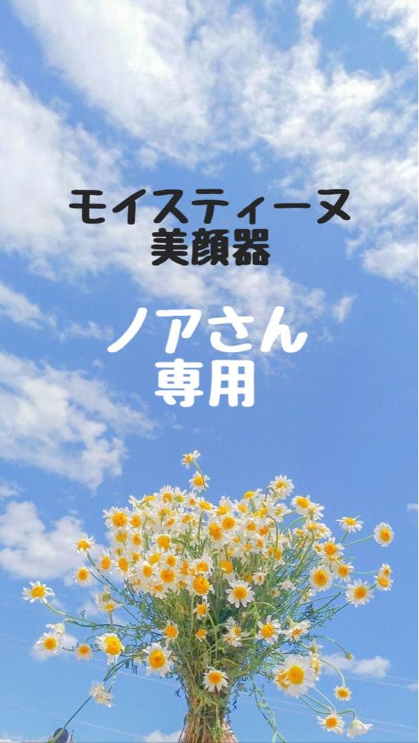 ※ノアさん専用Moisteane IV 美容器 ホワイト 充電器付き