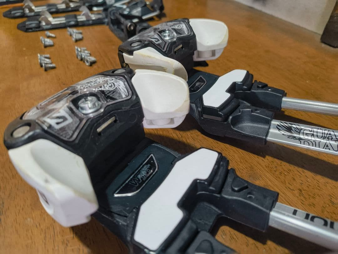 Salomon Guardian 13 サロモン ガーディアン