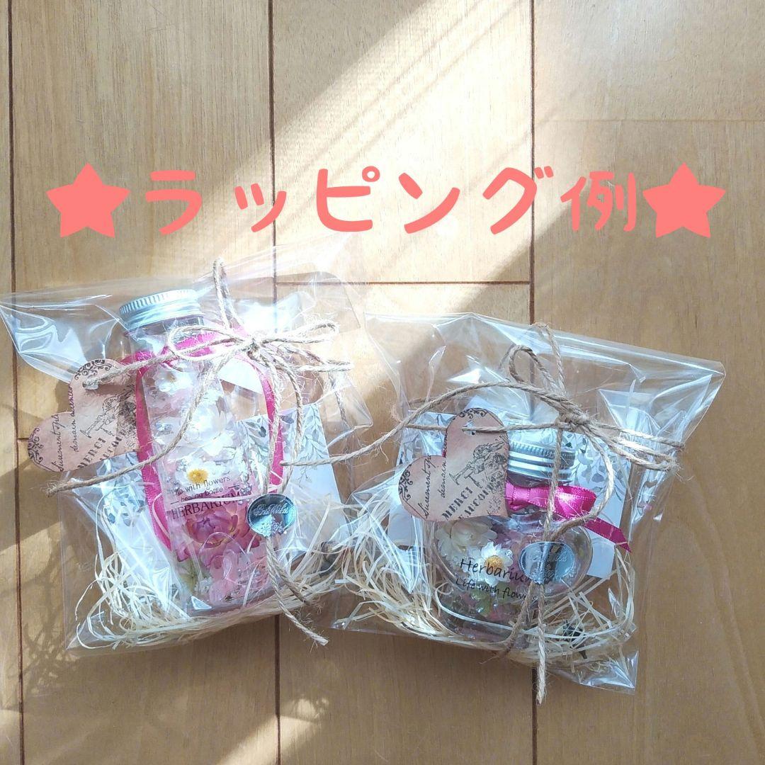 No.63 ゾウのエジプシャングラスハーバリウム【Mサイズ】お花畑