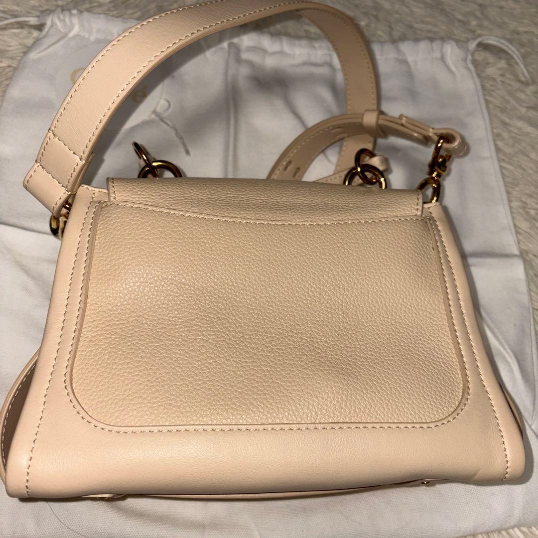 レア品　クロエ　ショルダーバッグ　ハンドバッグ　保存袋付き