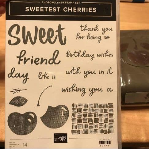 お値下！未使用　さくらんぼパンチとスタンプ　スタンピンアップ　cherry